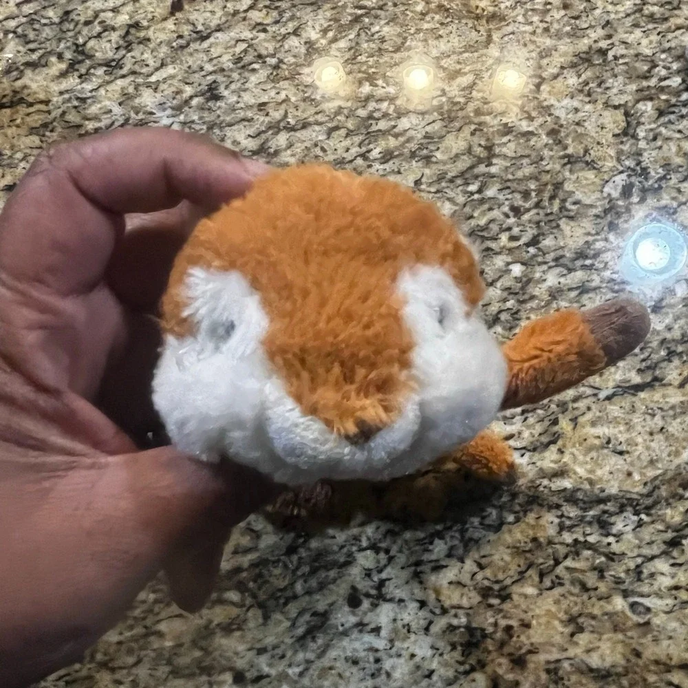 Fox Raccoon Squeaky Toy Flat Plush Woodland Animal No Stuffing
